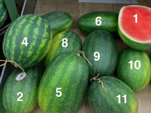 Trong 10 quả dưa hấu, đâu là quả ngọt, mọng nước nhất? Chat GPT đưa ra câu trả lời bất ngờ