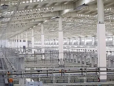 Công nghiệp xe điện Ấn Độ bị đe dọa bởi Trung Quốc