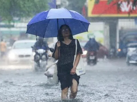 Dự báo thời tiết ngày 20/6: Miền Bắc bước vào đợt mưa lớn, có nơi vượt 300mm