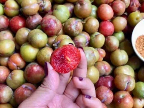 2 loại trái cây trùng tên nhưng số phận khác nhau, giá cả chênh lệch thấy rõ: Nhiều người đi chợ vẫn nhầm!