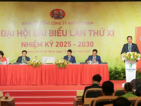 Ông Nguyễn Thanh Bình tiếp tục là Bí thư Đảng ủy PV GAS