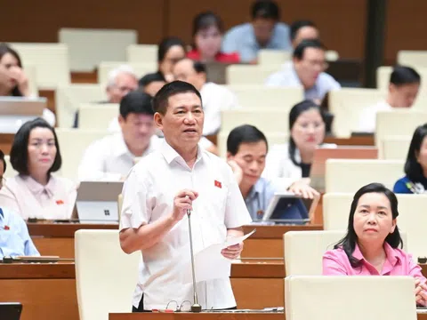 Phó thủ tướng: Nên giữ thuế khoán với hộ kinh doanh thu dưới 1 tỷ/năm