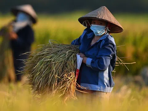 Từ 1/7, nông dân được vay 300 triệu đồng không cần thế chấp