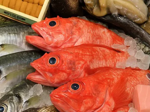 Ăn một loại cá thường xuyên có thể làm tăng mức thủy ngân trong não của bạn lên 10 lần!