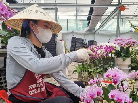 Quảng Ninh đi đầu xây dựng NTM và giảm nghèo