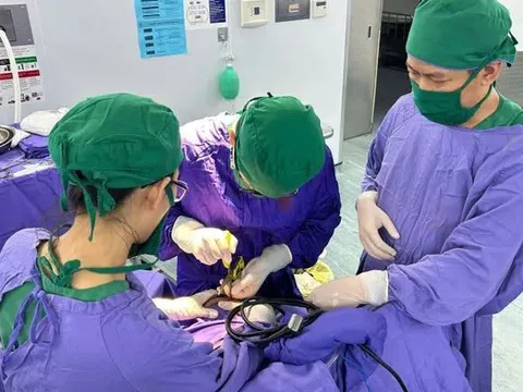 Người phụ nữ 25 tuổi bị kéo nhọn găm vào đầu