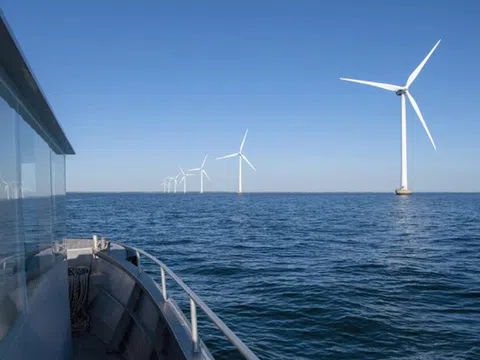 Điện gió ngoài khơi sẽ đạt “cột mốc ấn tượng” vào năm 2026
