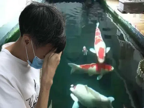 Chi tiền khủng cải tạo tầng hầm chung cư thành ao cá Koi, người đàn ông bị hàng xóm kiện ra tòa: “Anh không được làm thế”