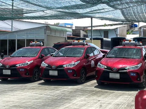 Trường dạy lái đông đúc sau gần nửa năm hoãn thi
