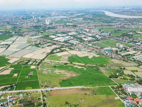 Quốc hội chốt kéo dài thời gian miễn thuế đất nông nghiệp đến hết 2030