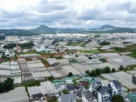 Giao dịch đất nền tại Lâm Đồng tăng mạnh, vượt mốc 7.400 tỷ đồng