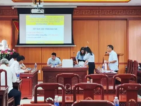 Choáng với giá đấu mỏ cát Quảng Nam: Từ 1,8 tỷ vọt lên hơn 138 tỷ đồng