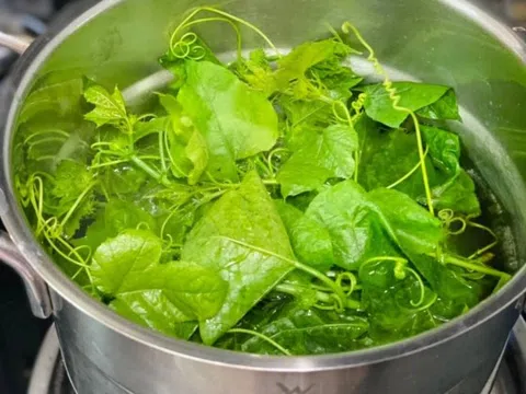 Loại rau mọc bờ rào nay "lên đời" thành đặc sản, vừa ngon bổ vừa dễ trồng tại nhà