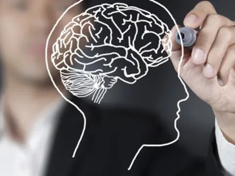 Nghiên cứu: 4 CÁCH nhanh nhất để phát triển não bộ, giúp IQ tăng vun vút, trở nên nhạy bén hơn