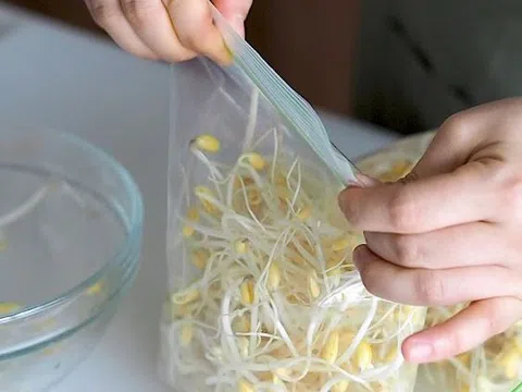 3 kiểu bảo quản giá đỗ tiện thì có tiện nhưng cực nhanh hỏng, mất dinh dưỡng còn “rước” bệnh vào nhà