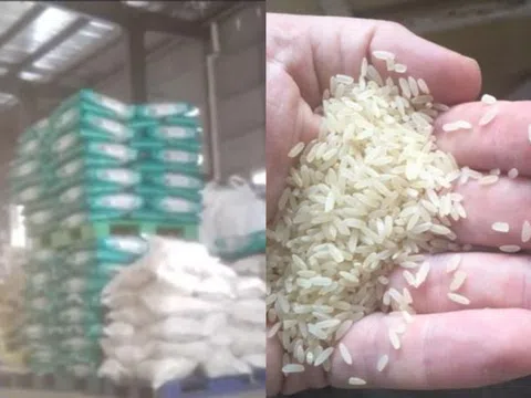 Đột kích nhà máy trong đêm, phanh phui công ty sản xuất gạo giả bán 1.000 tấn mỗi năm, tịch thu 15.750kg gạo chất thành đống