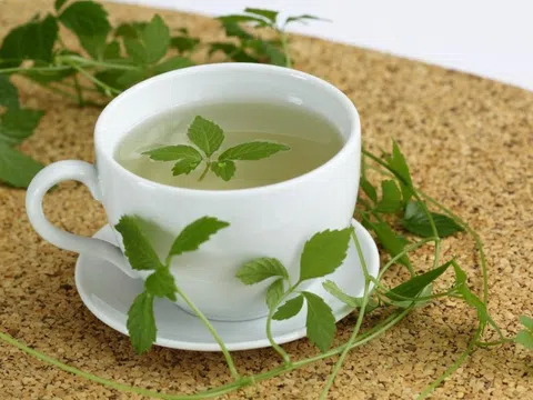 Loại cây mọc dại nhưng có khả năng chống oxy hóa cao gấp 8 lần trà xanh: Giải độc cơ thể, giảm mỡ máu