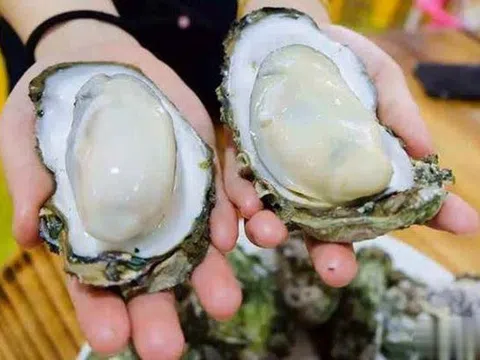 Khi mua hàu, đừng mua 3 loại hàu này: Chủ cửa hàng hải sản không bao giờ để người nhà ăn
