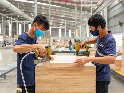 ‘Tấm hộ chiếu’ ESG giúp doanh nghiệp tiếp cận vốn