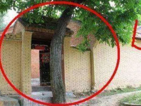Trước nhà phạm "tứ kỵ" thì tài lộc sớm đội nón ra đi, gia chủ không ốm đau cũng hao tài