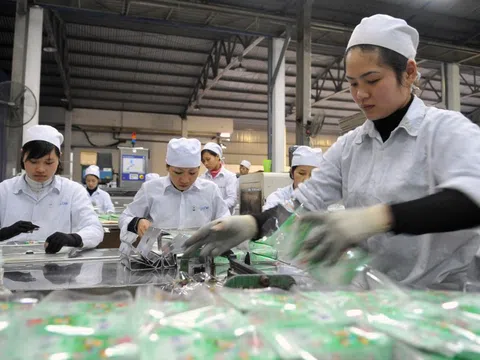 Từ 1/7, thay đổi mã số thuế cá nhân, sàn TMĐT nộp thuế thay người bán
