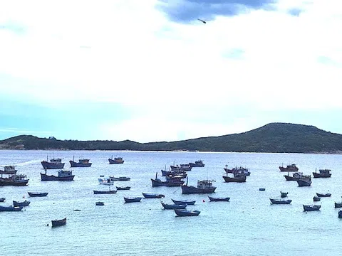 Việt Nam lọt tốp 7 thị trường hàng đầu thế giới ở 1 lĩnh vực bền vững: "Mỏ vàng" âm thầm kiếm tỷ USD