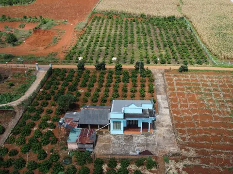 Chuyển đổi đất vườn sang đất ở đóng thuế tiền tỷ, Bộ Tài chính lý giải