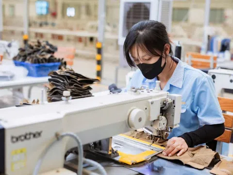 Gam màu sáng tối trong bức tranh xuất khẩu Hà Tĩnh