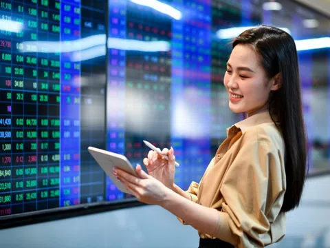 Tiền đầu tư chảy vào 'cổ đất'