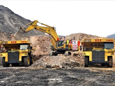 Cổ phiếu Than Đèo Nai -Cọc 6 "lao dốc" trước tin thành viên HĐQT bị bắt