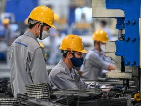 Yêu cầu báo cáo tiến độ thúc đẩy kinh tế tư nhân hàng tháng