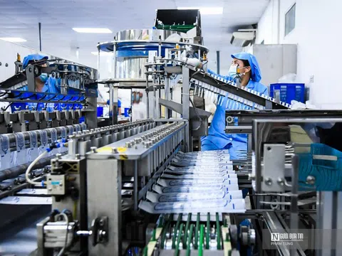 Mỗi tháng có gần 25.500 doanh nghiệp gia nhập thị trường