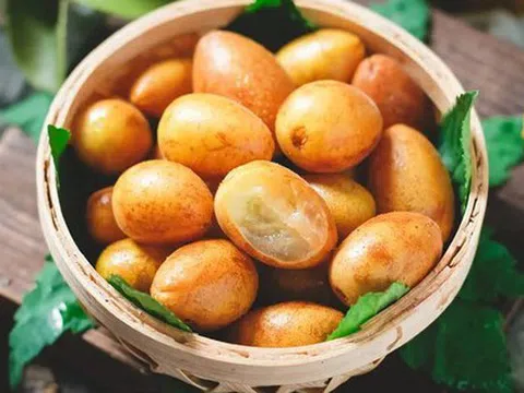 Loại quả dại ở Việt Nam lại là "trái vàng" được săn lùng tại Trung Quốc, từ rễ đến hạt đều "bổ như sâm"