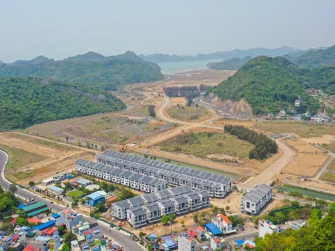 Hai công ty liên quan MIK Group thâu tóm Cát Bà Amatina