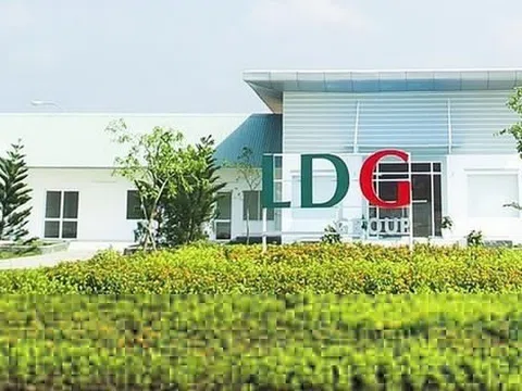Cổ phiếu LDG tăng gấp đôi sau nửa tháng, công ty nói gì?