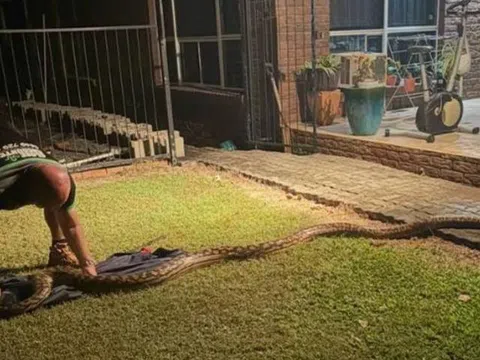 Nghe tiếng động lạ, đi kiểm tra, người đàn ông chứng kiến cảnh tượng nổi da gà