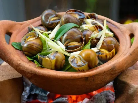 Luộc ốc phải nhớ ngay những điều này, ốc vừa sạch lại ngon giòn "chuẩn" vị nhà hàng