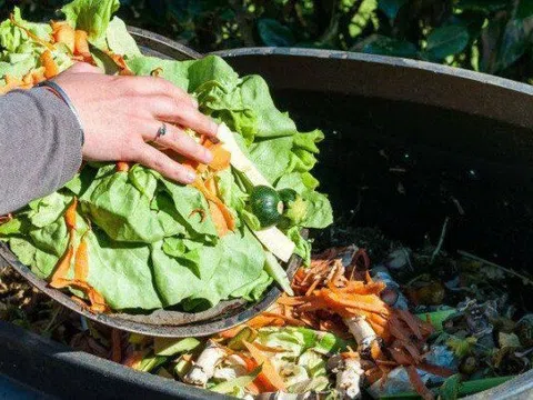 Chôn 2 thứ "rác" này vào chậu cây: Hoa tuôn nở như suối, ra quả tưng bừng ngọt lịm