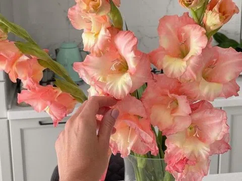 Trong nhà có loài hoa này, gia chủ không lo hết tiền, con cháu khỏe mạnh thông minh