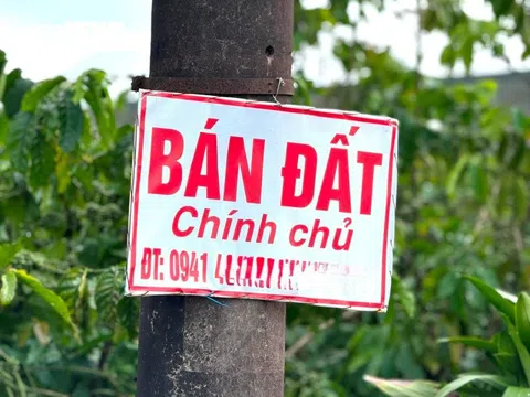 Đất nền Bảo Lộc rục rịch 'rã đông' sau 3 năm trầm lắng