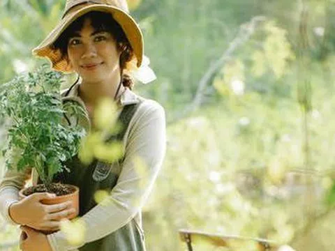 "Hoa nở rộ nhưng vận không thịnh": 6 loại hoa đẹp nhưng không nên trồng trong nhà, đừng để vẻ ngoài đánh lừa bạn