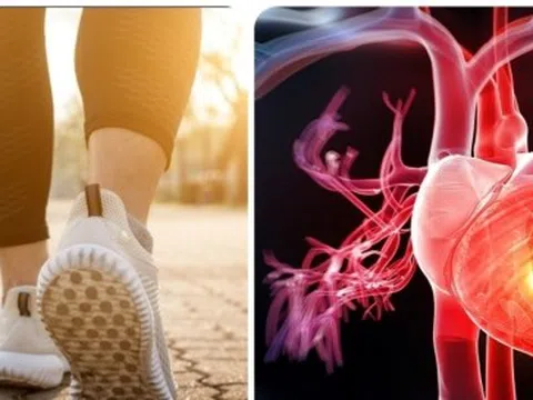 Những kiểu đi bộ giúp cơ tim khoẻ mạnh