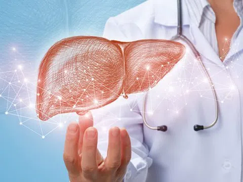 Xoa ấn 3 vùng này mỗi ngày giúp gan, thận thải độc tố nhanh gấp bội