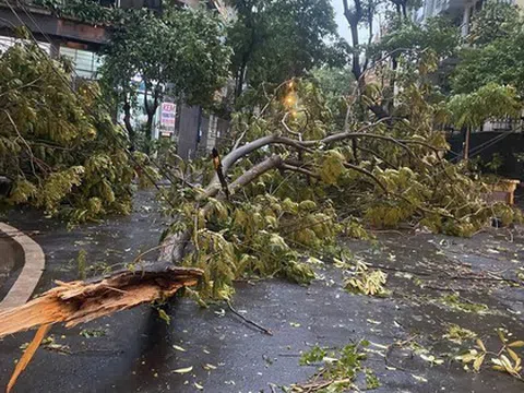 Mưa to, gió lớn ở Hà Nội và nhiều địa phương phía Bắc có phải do ảnh hưởng bão số 3?