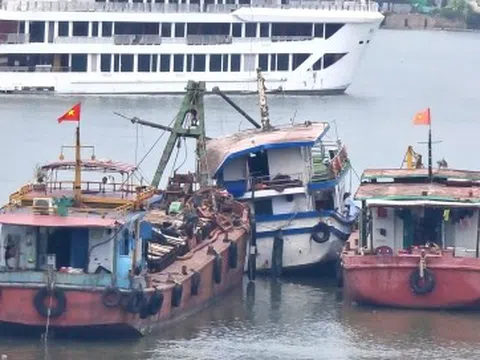 Tàu Vịnh Xanh 58 gặp nạn ở Hạ Long có đủ điều kiện hoạt động?