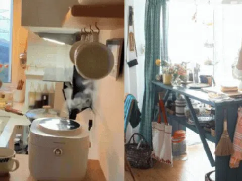 Mẹ chồng từng nói tôi hoang phí vì vứt đồ – nhưng dọn nhà lại là điều giúp tôi đổi đời