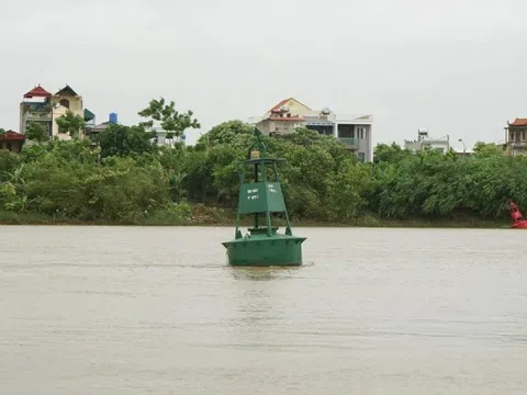 Mực nước sông Trà Lý, sông Hồng dâng cao từng giờ, người dân Hưng Yên đắp bờ chống ngập