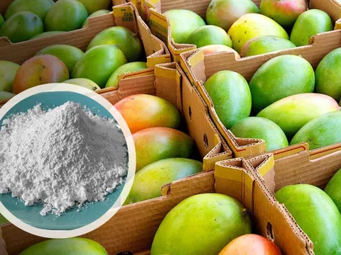 3 loại trái cây tế bào ung thư rất yêu thích, có "bán rẻ như cho" cũng đừng động vào dù chỉ 1 lần!