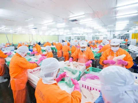 'Đại gia' Việt Nam xuất khẩu cá tra lớn thứ 2 thế giới thắng lớn