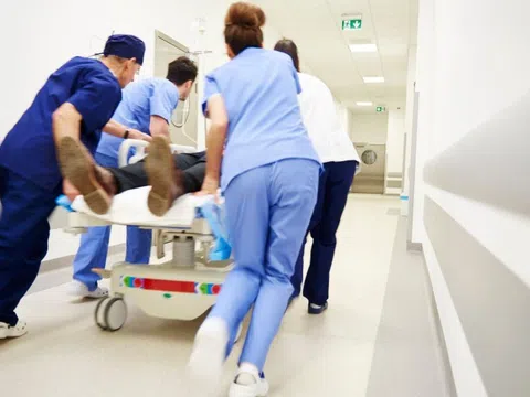 Trèo cây cắt tỉa cành tránh bão, cụ ông 71 tuổi bị ngã trọng thương